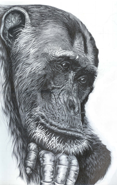 The Thinker